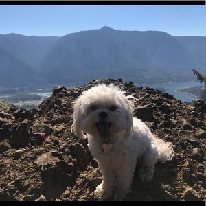 Meet your Posher, Nia